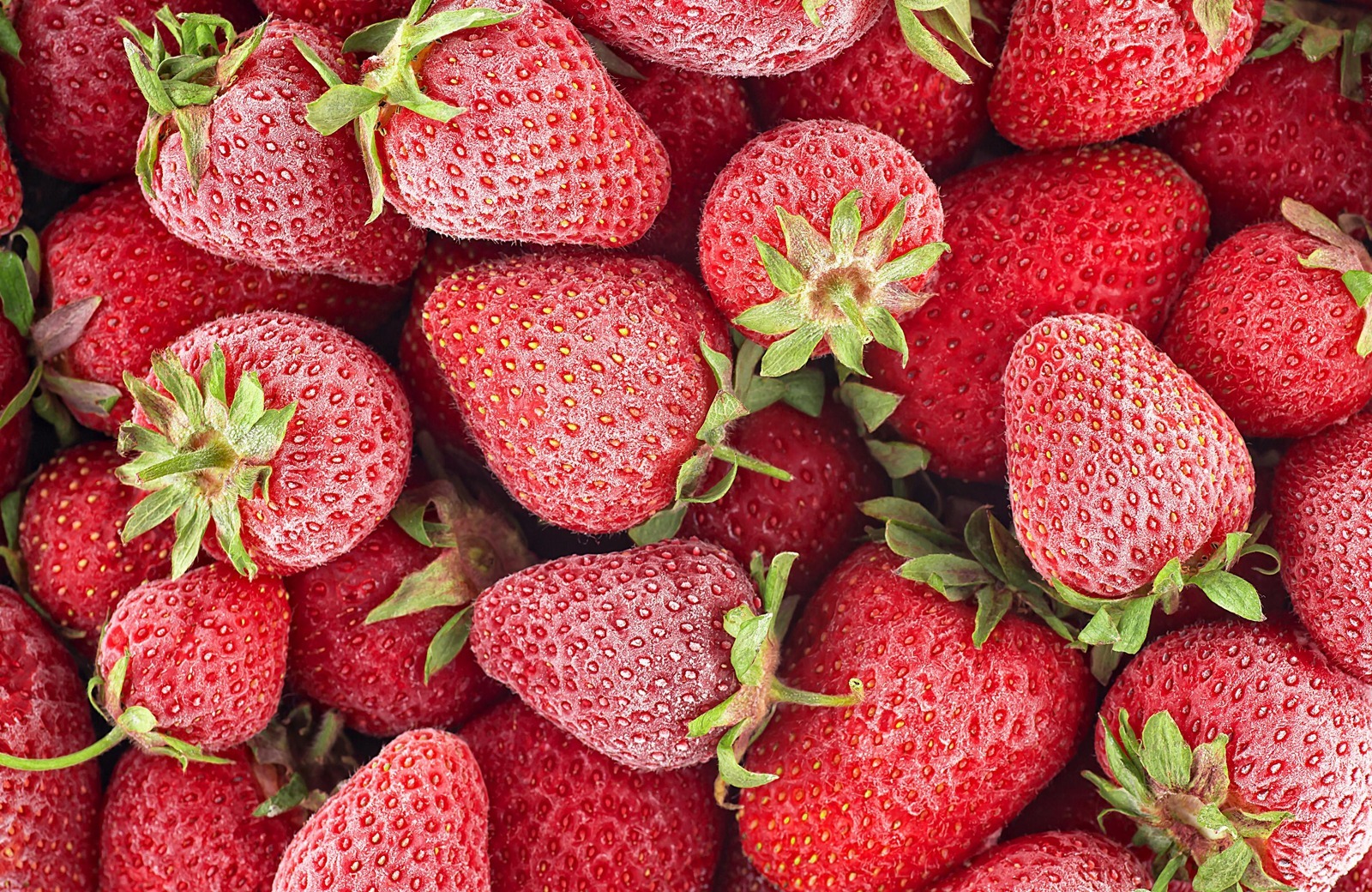 iqf Frozen strawberries for export
